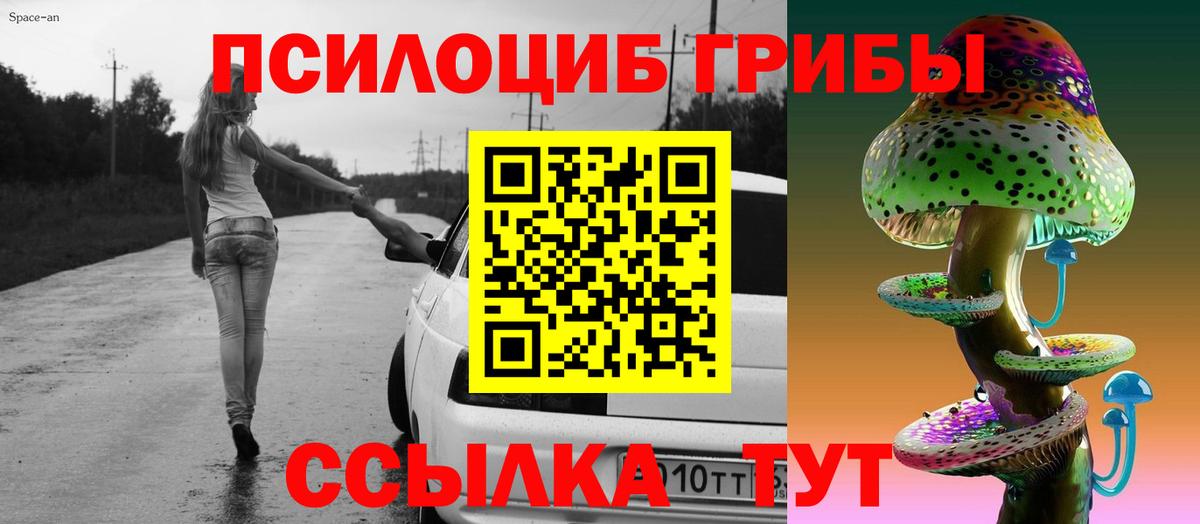 Псилоцибиновые грибы GOLDEN TEACHER  Галлюциногенные грибы Psilocybine cubensis  Вход с VPN  Алатырь 