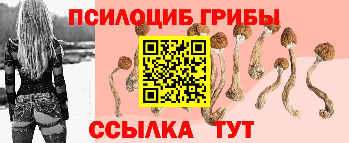 Галлюциногенные грибы прущие грибы Алатырь